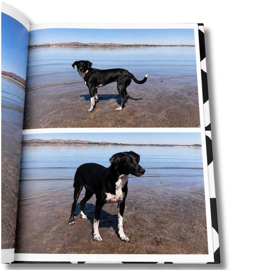 Photobook The Story of Us